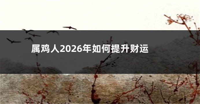属鸡人2026年如何提升财运
