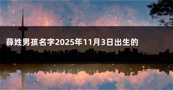 薛姓男孩名字2025年11月3日出生的