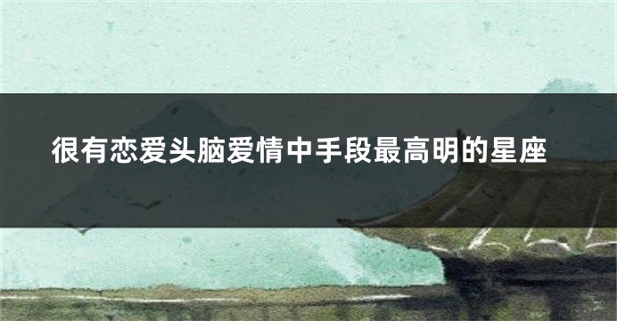 很有恋爱头脑爱情中手段最高明的星座