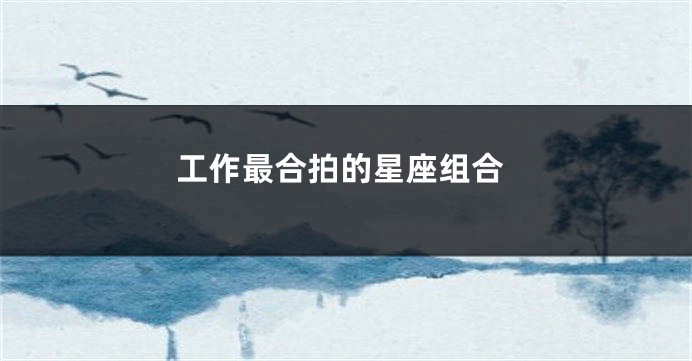 工作最合拍的星座组合