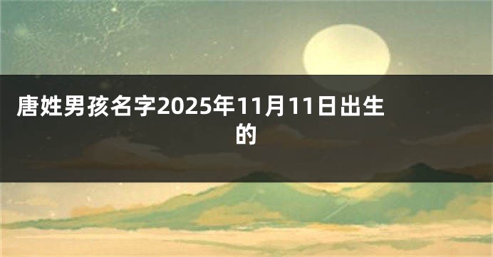 唐姓男孩名字2025年11月11日出生的