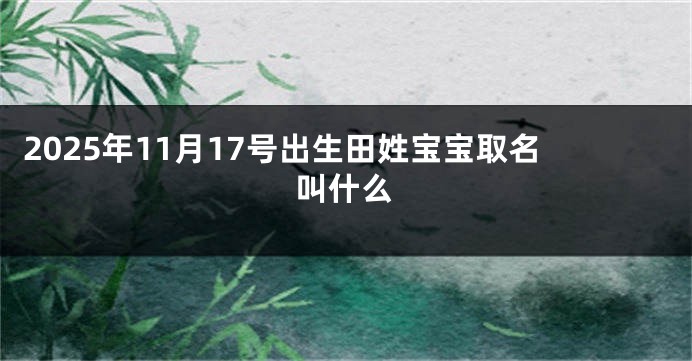 2025年11月17号出生田姓宝宝取名叫什么