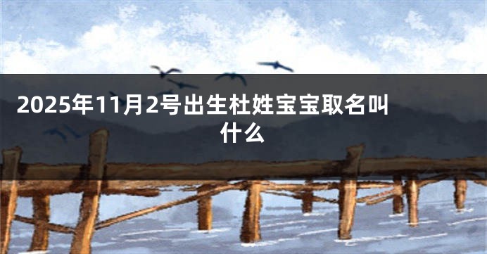 2025年11月2号出生杜姓宝宝取名叫什么
