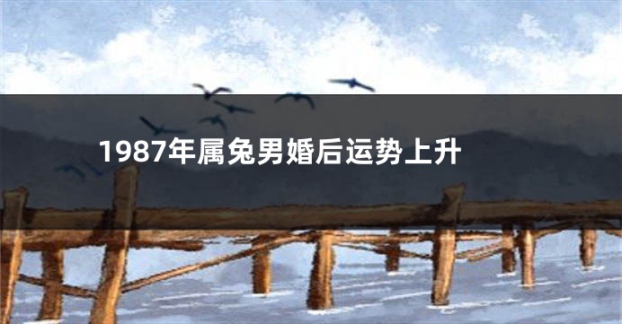 1987年属兔男婚后运势上升