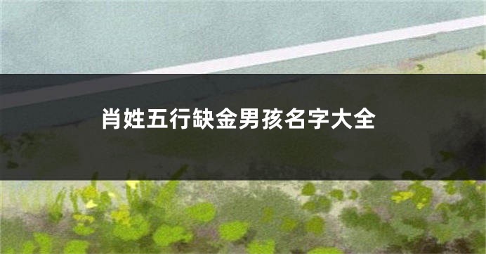 肖姓五行缺金男孩名字大全