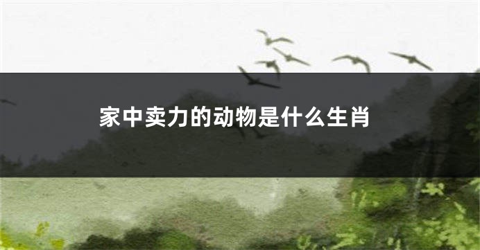 家中卖力的动物是什么生肖