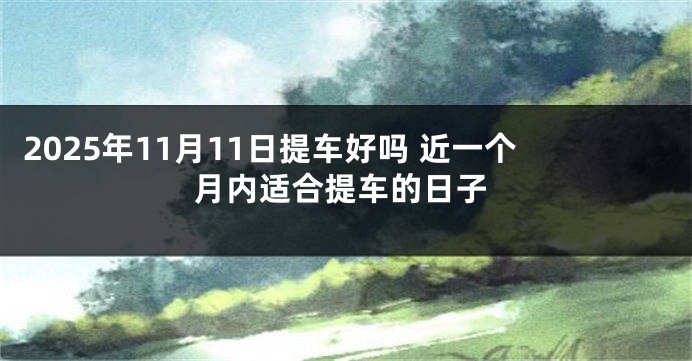 2025年11月11日提车好吗 近一个月内适合提车的日子