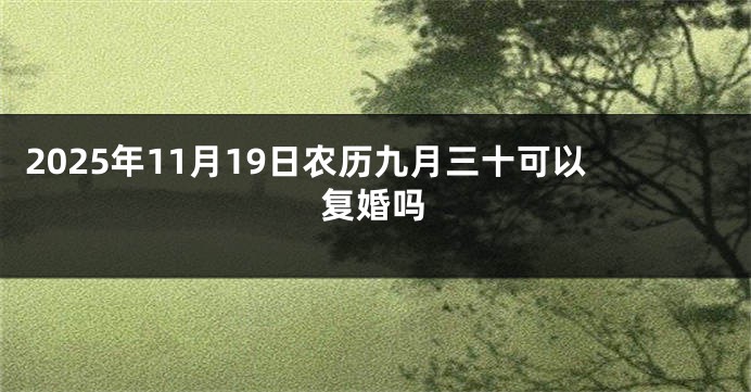 2025年11月19日农历九月三十可以复婚吗