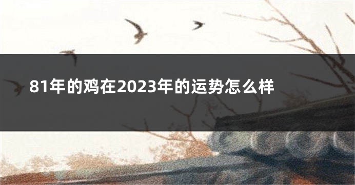 81年的鸡在2023年的运势怎么样