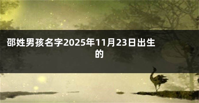 邵姓男孩名字2025年11月23日出生的
