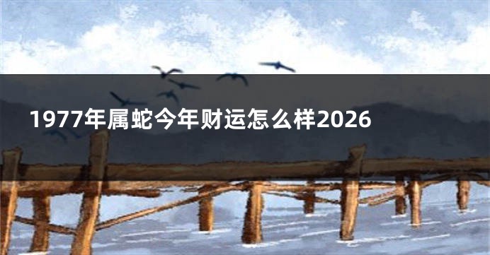 1977年属蛇今年财运怎么样2026