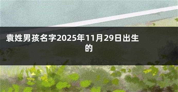 袁姓男孩名字2025年11月29日出生的