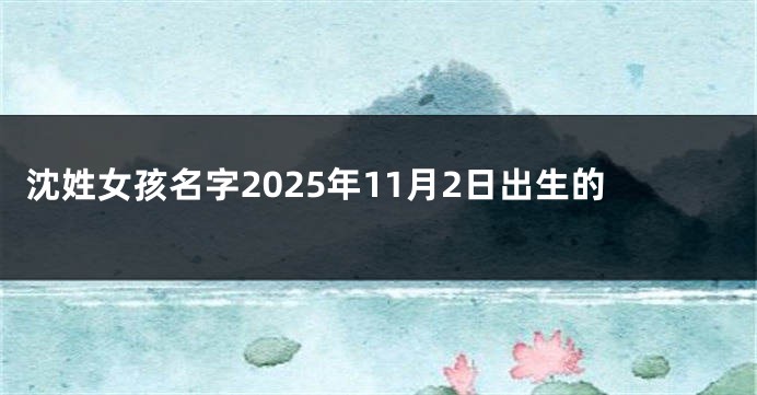 沈姓女孩名字2025年11月2日出生的