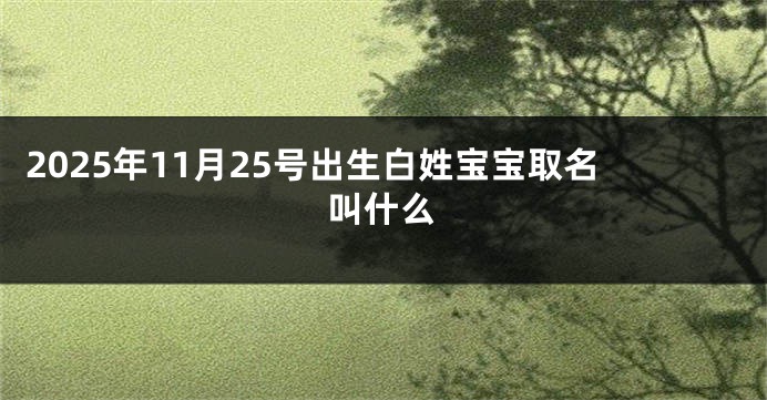 2025年11月25号出生白姓宝宝取名叫什么