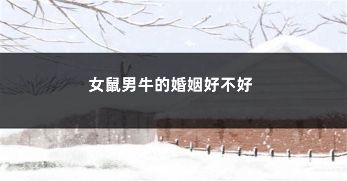 女鼠男牛的婚姻好不好