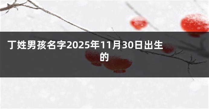 丁姓男孩名字2025年11月30日出生的