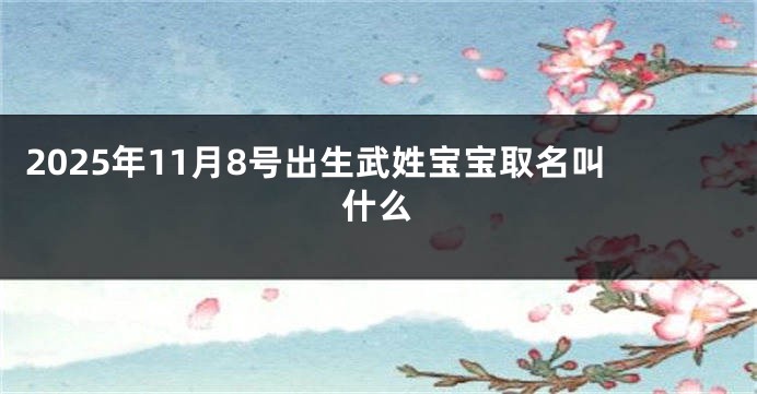 2025年11月8号出生武姓宝宝取名叫什么