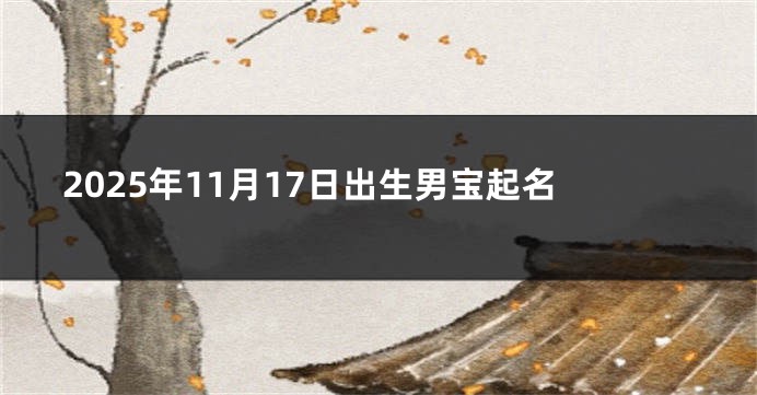 2025年11月17日出生男宝起名