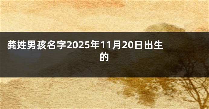 龚姓男孩名字2025年11月20日出生的
