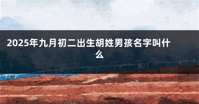 2025年九月初二出生胡姓男孩名字叫什么