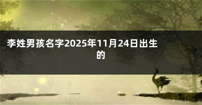 李姓男孩名字2025年11月24日出生的