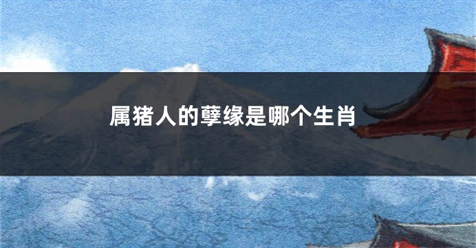 属猪人的孽缘是哪个生肖