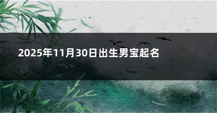2025年11月30日出生男宝起名
