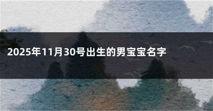 2025年11月30号出生的男宝宝名字