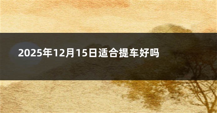 2025年12月15日适合提车好吗