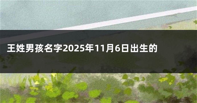 王姓男孩名字2025年11月6日出生的