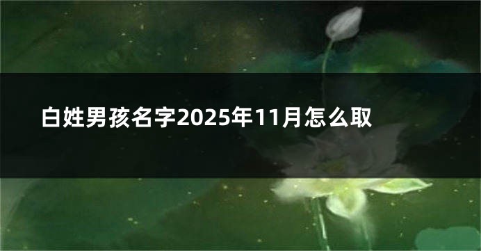 白姓男孩名字2025年11月怎么取