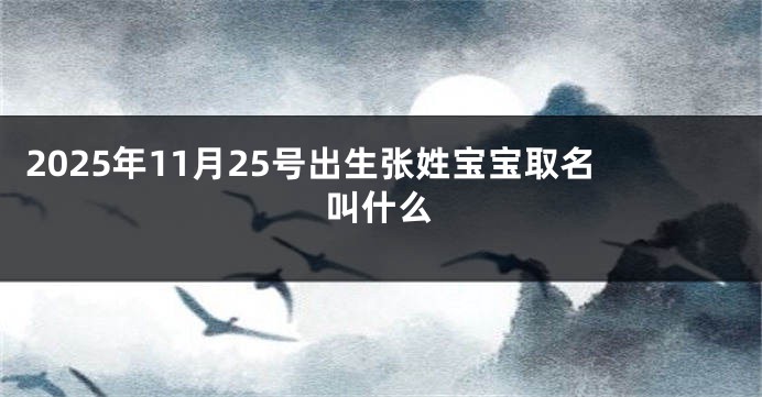 2025年11月25号出生张姓宝宝取名叫什么
