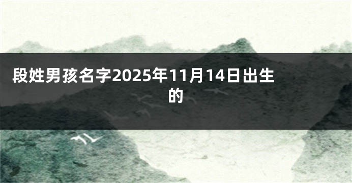 段姓男孩名字2025年11月14日出生的