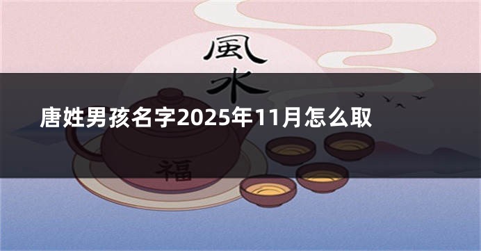 唐姓男孩名字2025年11月怎么取