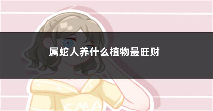 属蛇人养什么植物最旺财