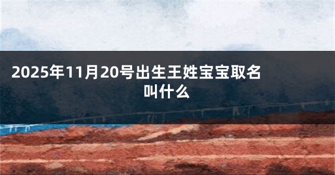 2025年11月20号出生王姓宝宝取名叫什么