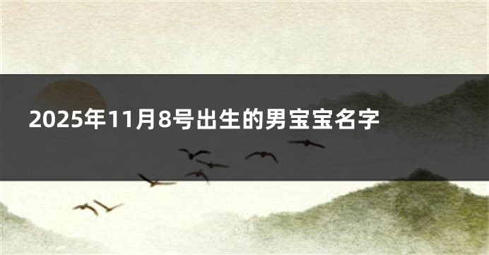 2025年11月8号出生的男宝宝名字