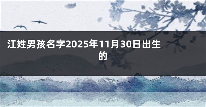 江姓男孩名字2025年11月30日出生的