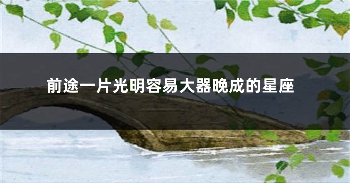 前途一片光明容易大器晚成的星座