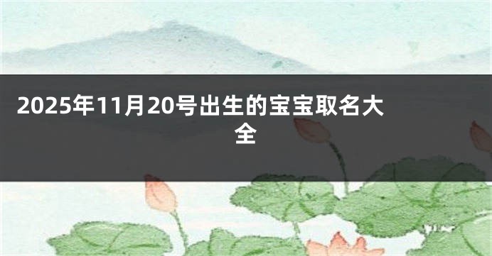 2025年11月20号出生的宝宝取名大全