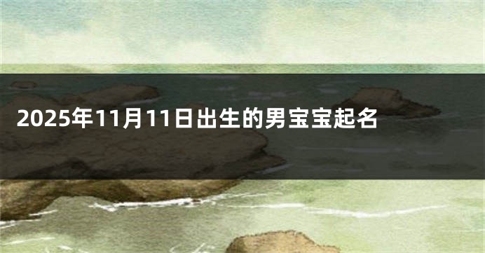 2025年11月11日出生的男宝宝起名