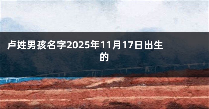 卢姓男孩名字2025年11月17日出生的