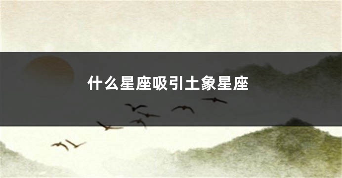 什么星座吸引土象星座