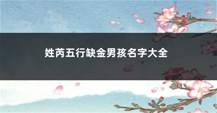 姓芮五行缺金男孩名字大全