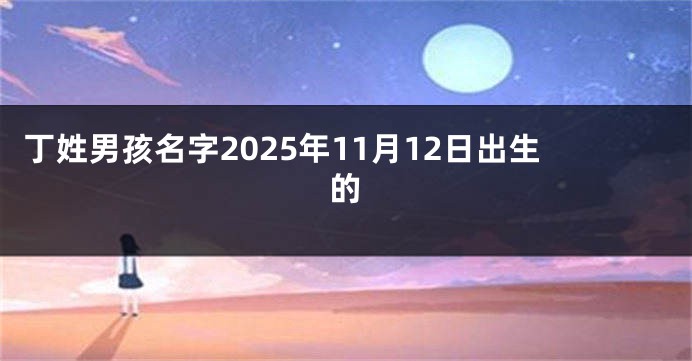 丁姓男孩名字2025年11月12日出生的