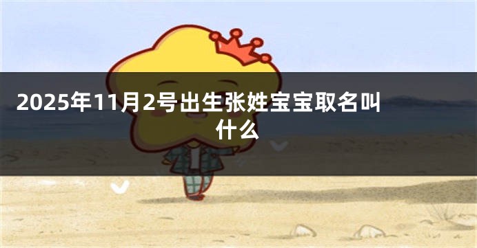 2025年11月2号出生张姓宝宝取名叫什么