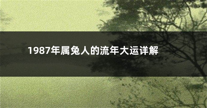 1987年属兔人的流年大运详解