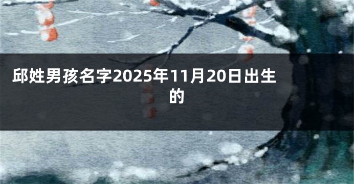 邱姓男孩名字2025年11月20日出生的