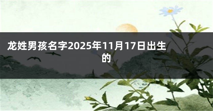 龙姓男孩名字2025年11月17日出生的