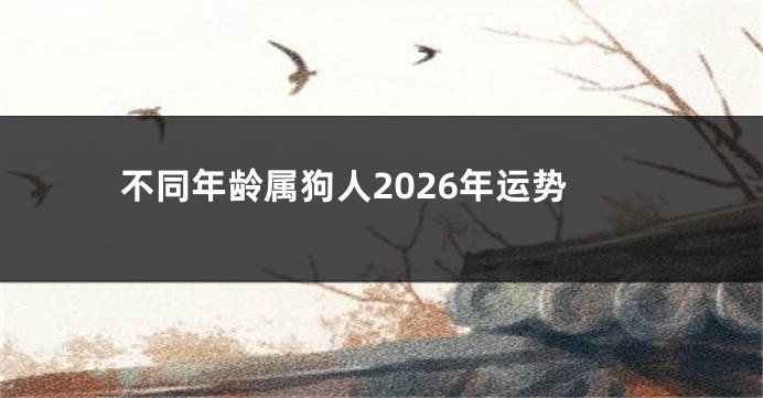 不同年龄属狗人2026年运势